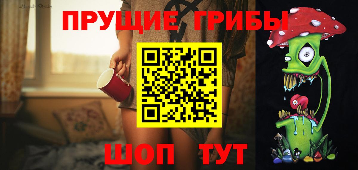 купить   Вход с VPN  Новочебоксарск  Псилоцибиновые грибы GOLDEN TEACHER 